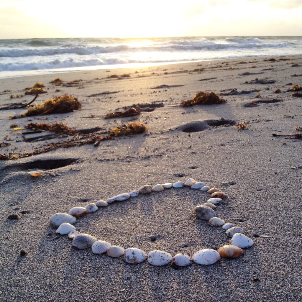 for-my-love-a-TAE47GY